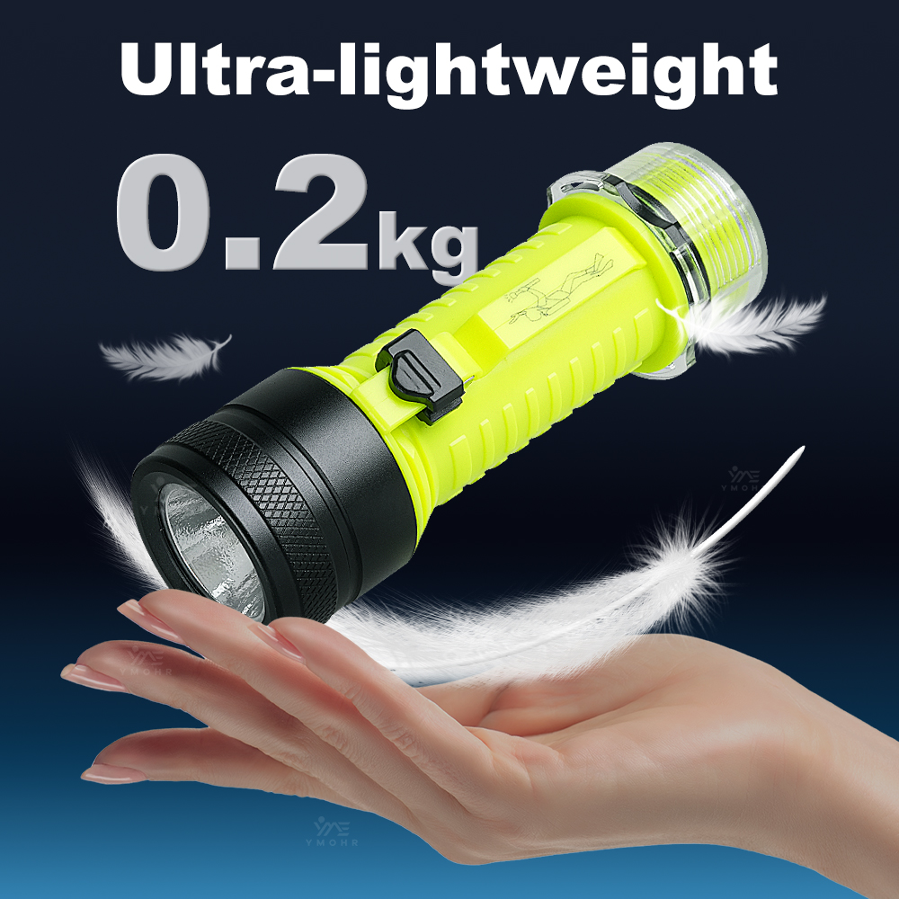 New Portable Professional LED  - Fishing Light ulasan dan harga