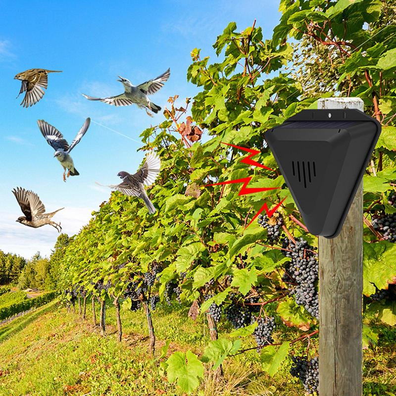 Waterproof Solar bird repeller - Fish Alarm ulasan dan harga